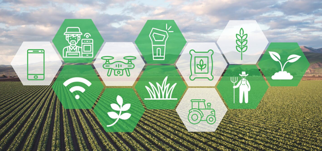 Elements of precision agriculture